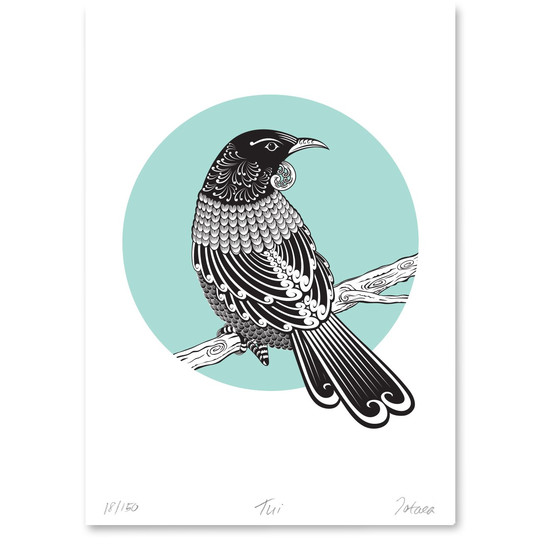 Tui Limited Edition Print A3