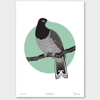 Kereru Limited Edtion Print A3