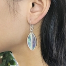 Antipodes Earrings Paua Hooks