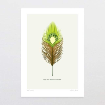 Kiwi Feather A4 Print