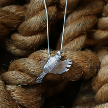 Flying Tui Pendant Silver 