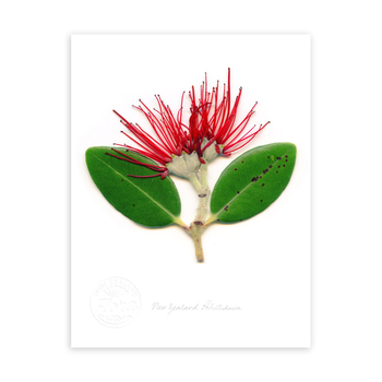 Pohutukawa Portrait Print Small